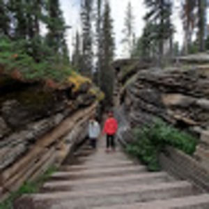 Meet your Posher, Tia